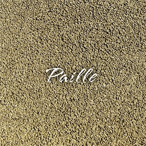 Béton drainant coloré "Paille", une solution chaleureuse et perméable pour vos aménagements extérieurs.